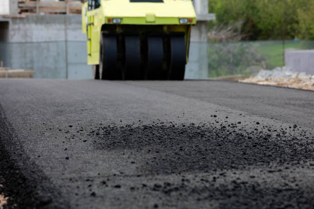 Best Decorative Driveway Pavers  in Larch Y, WA