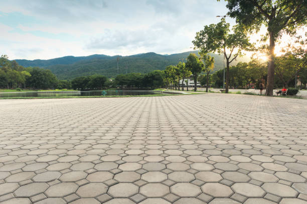 Best Local Driveway Pavers  in Larch Y, WA